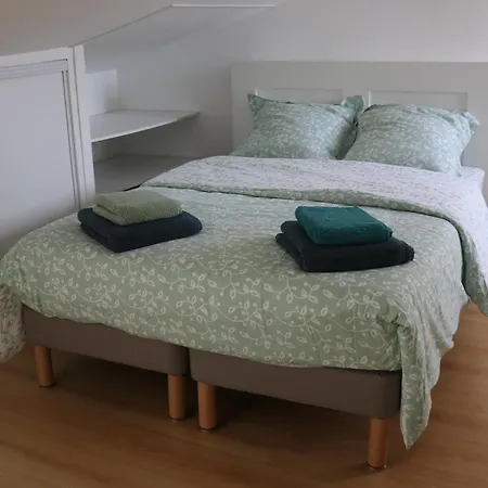 Appartement Et Salles D'eau Privées Dans Maison à Partager Centre