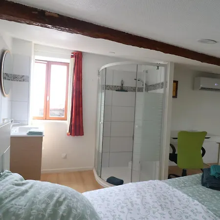 Appartement Et Salles D'eau Privées Dans Maison à Partager Centre *