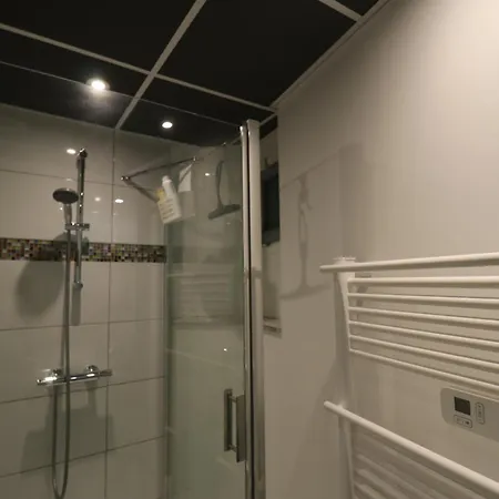 Appartement Et Salles D'eau Privées Dans Maison à Partager Centre Clermont-Ferrand