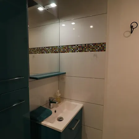 Appartement Et Salles D'eau Privées Dans Maison à Partager Centre