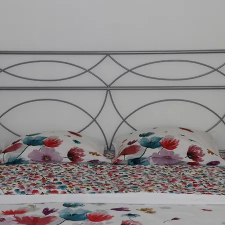 Et Salles D'eau Privées Dans Maison à Partager Centre Appartement *